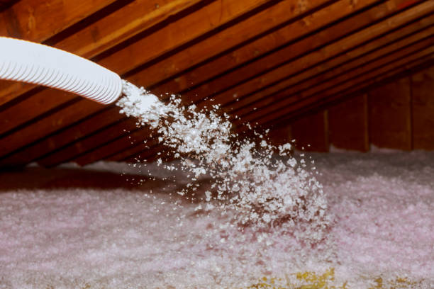 Best Insulation Maintenance and Repair in Governors Village, NC