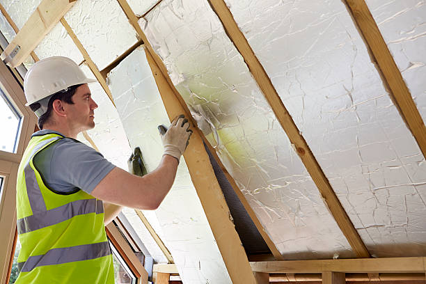 Best Spray Foam Insulation in Governors Village, NC