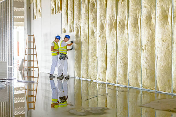 Best Geographic-Specific Insulation Services in Governors Village, NC